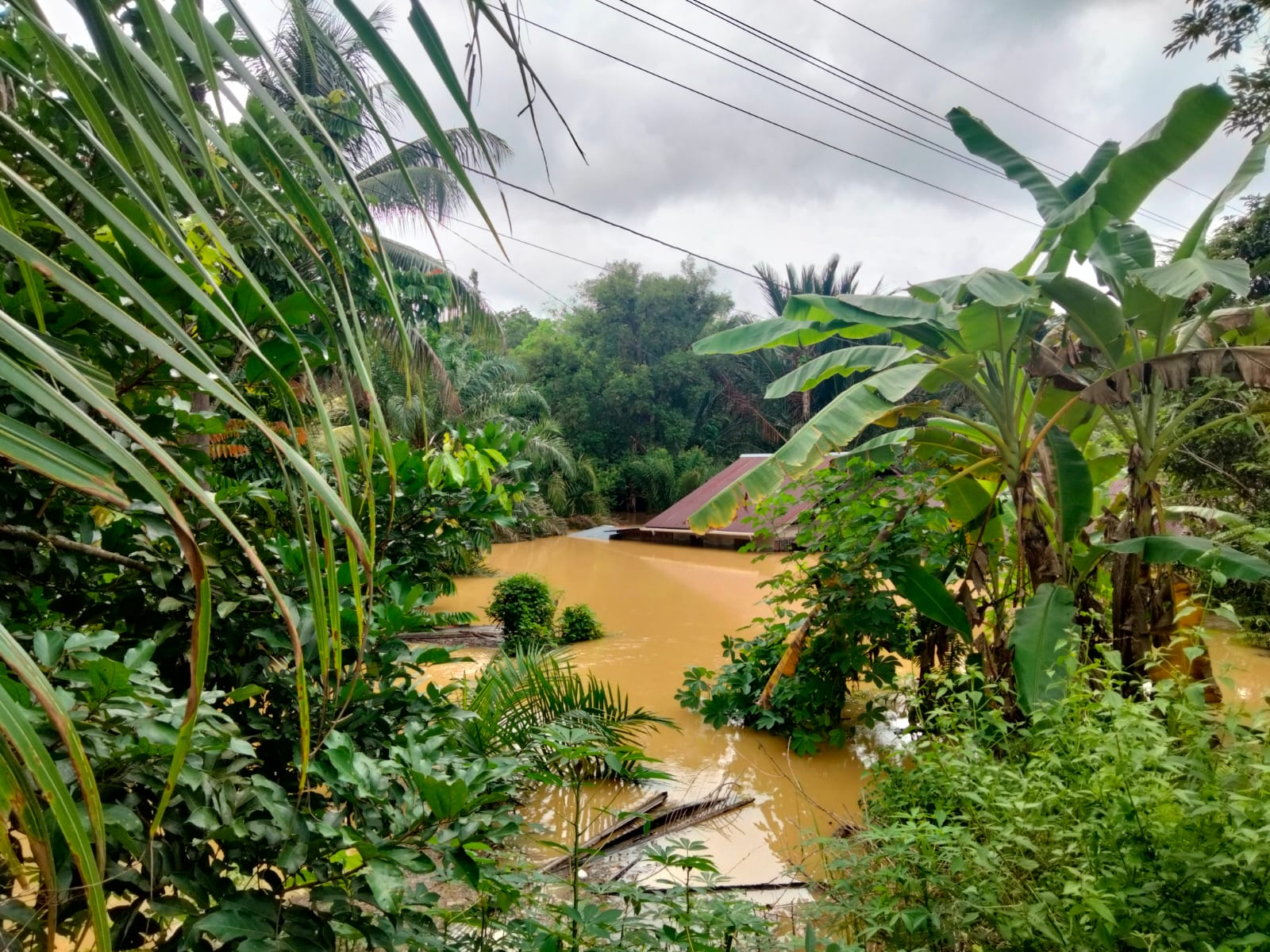 Rumah warga hanyut diterjang banjir di Desa Tebedak, Kecamatan Ngabang, Kamis (23/5).