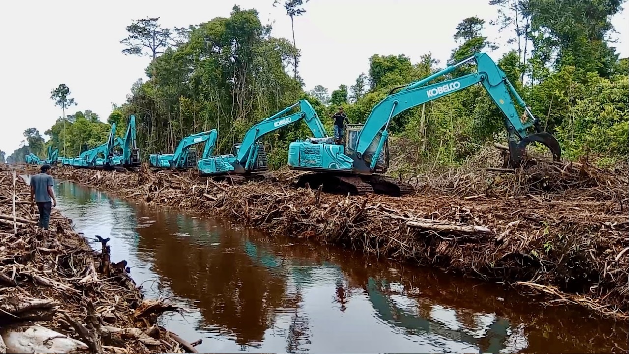 Sejumlah excavator saat melakukan pembukaan hutan rawa gambut di dalam konsesi PT. Mayawana Persada di Kayong Utara, pada akhir tahun 2023. Aktivitas tersebut mengakibatkan kerusakan ekosistem gambut.