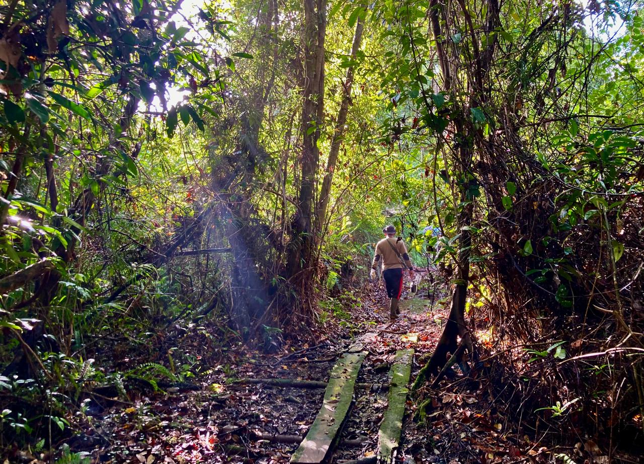 LPHD Banjar Lestari, Desa Padu Banjar saat menyusuri hutan yang menjadi habitat orang utan. Hutan tersebut juga berbatasan dengan hutan desa yang dikelola oleh masyarakat sekitar.