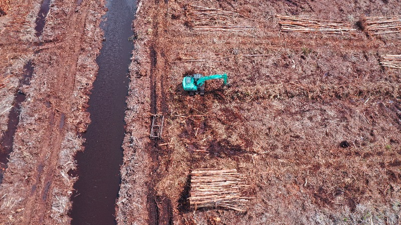 PT Mayawana Persada membuka lahan secara besar-besaran di wilayah konsesinya di Kabupaten Ketapang dan Kayong Utara. Selama tiga tahun terakhir (2020-2023).