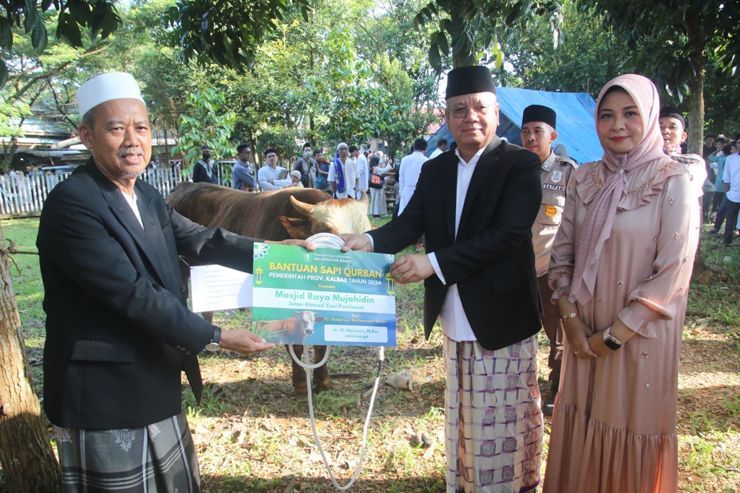 Pj Gubernur Harisson didampingi istri menyerahkan bantuan sapi kurban kepada panitia kurban Masjid Raya Mujahidin, Senin (17/6).