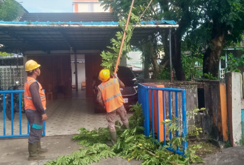 Petugas PLN sedang melakukan pemangkasan pohon di titik jarinngan yang dekat dengan rumah pelanggan.