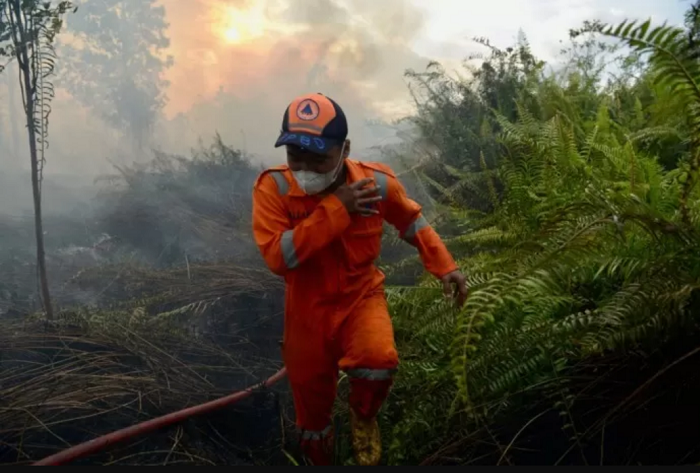 KARHUTLA: Pemadam kebakaran berjibaku dengan api yang melahap lahan di sekitar Kubu Raya beberapa dalam Karhutla tahun lalu.