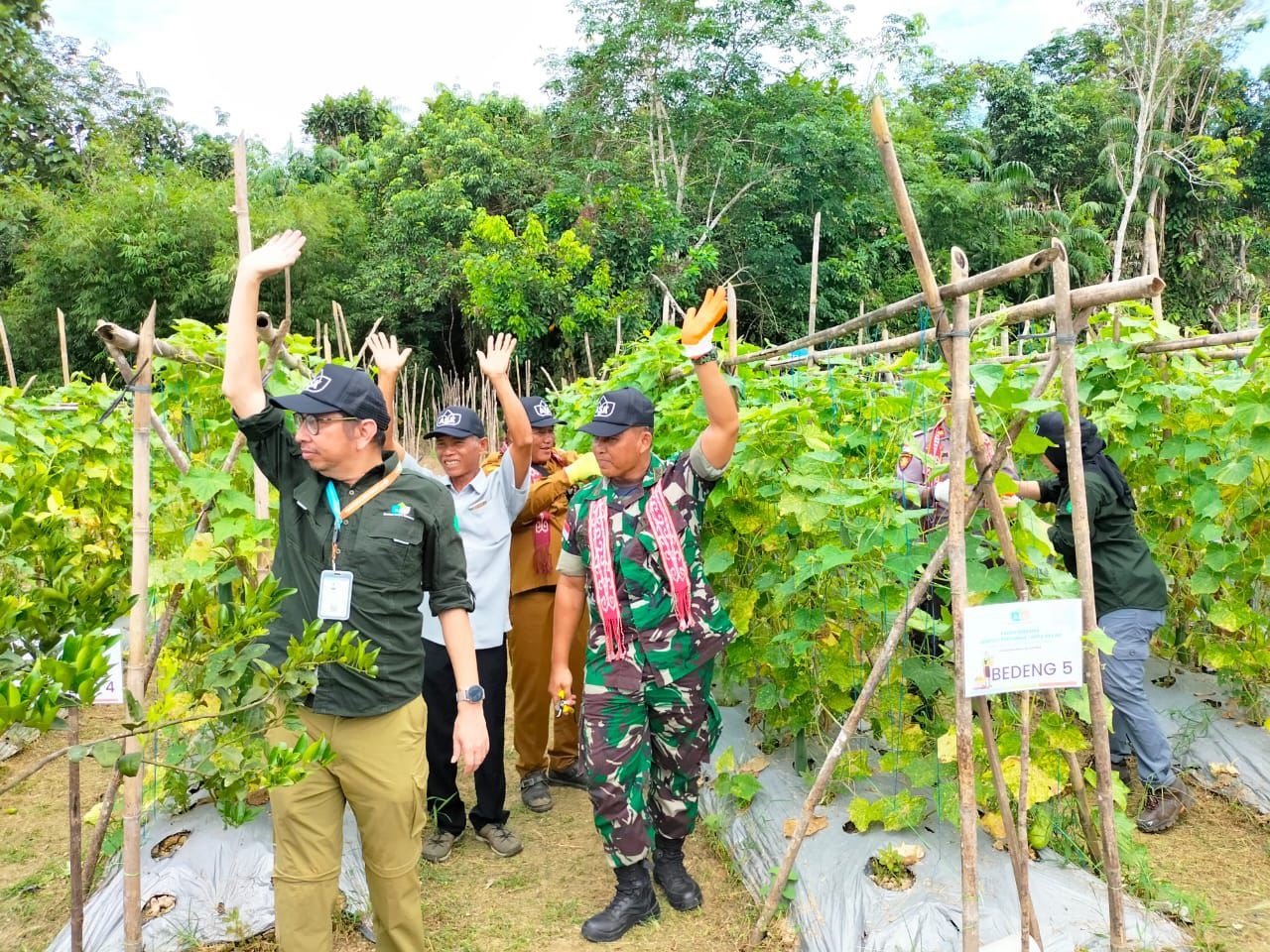 DEMPLOT : Panen bersama hasil dari petak demontrasi (DemPlot) pertanian tanpa bakar (PTB), dilaksanakan oleh PT Annisa Surya Kencana (ASK), di Desa Sibau dan Desa Tanjung Lasa, Kecamatan Puttusibau.