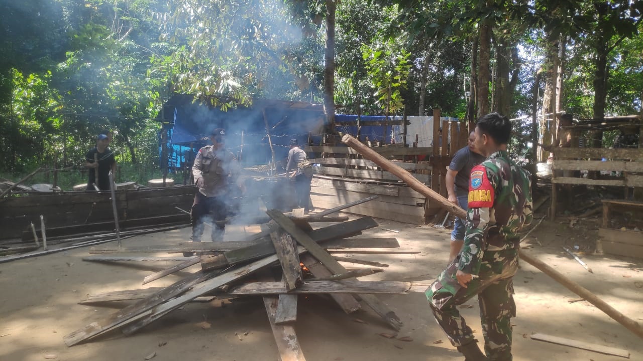 BONGKAR: Polsek Semitau beserta tim membongkar arena sabung ayam kemudian dibakar untuk memastikan tidak bisa digunakan kembali.