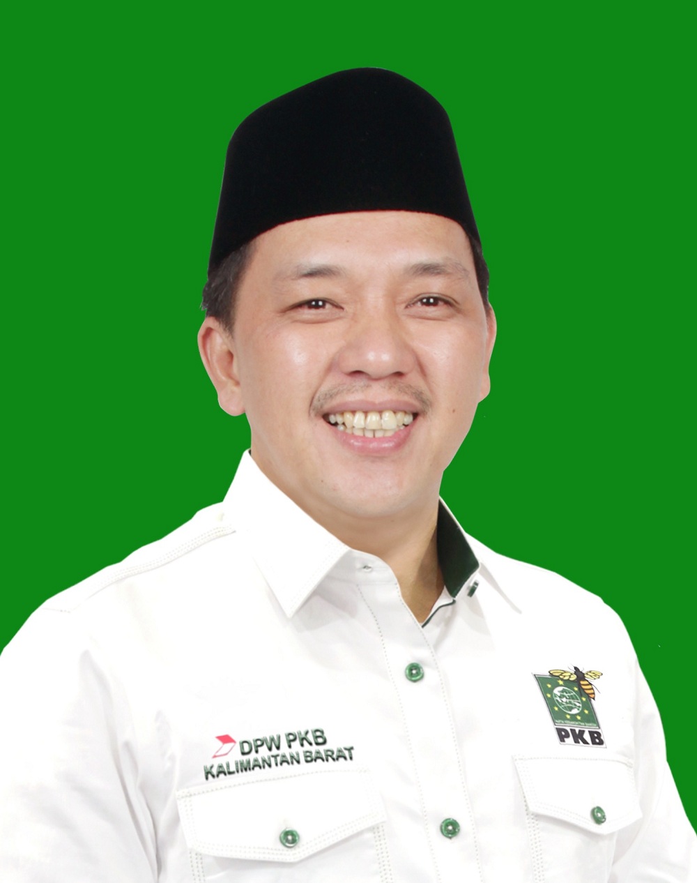 Mulyadi Tawik, Ketua DPW PKB Kalbar