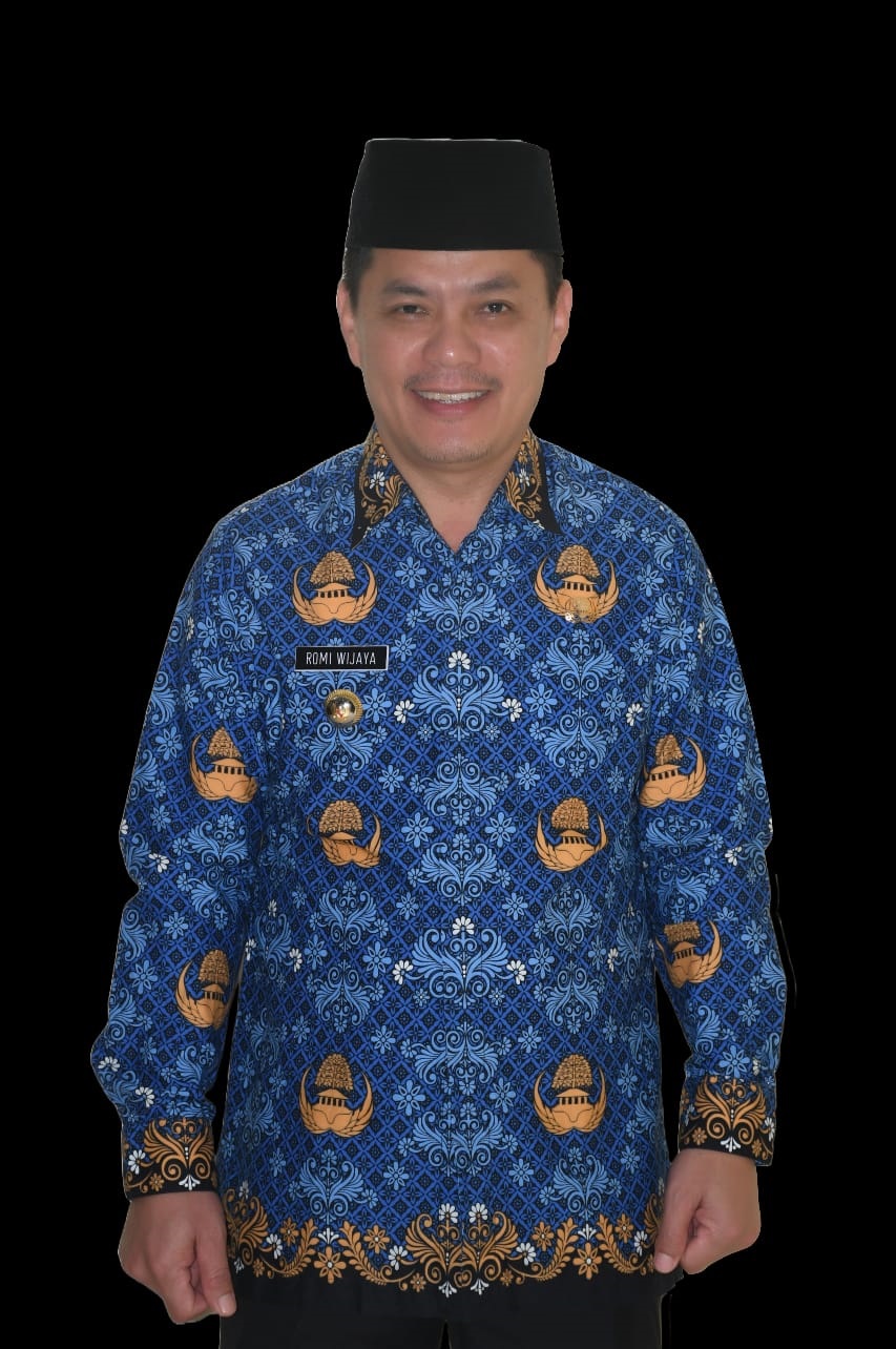 Romi Wijaya