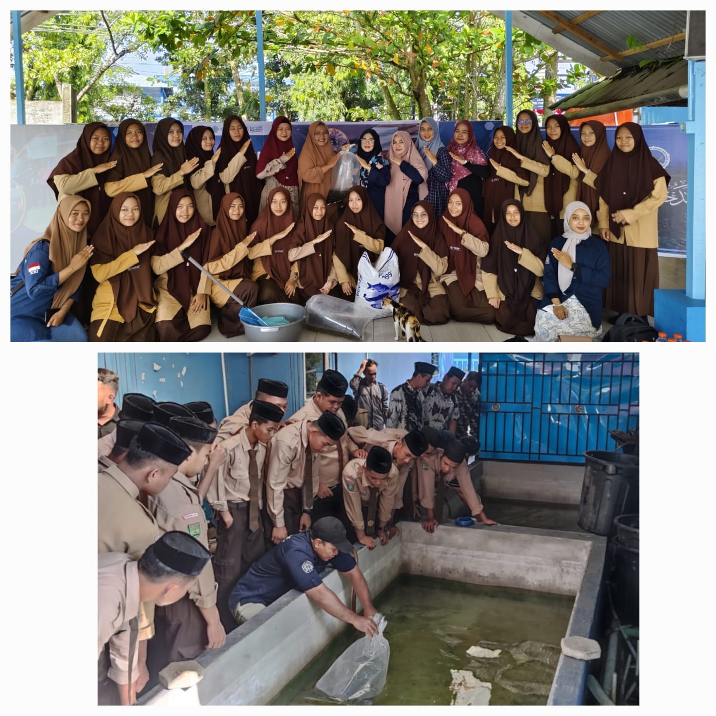 Program studi Budidaya Perikanan Politeknik Negeri Pontianak saat melakukan program PKM melakukan kegiatan pelatihan pembesaran ikan lele di Pondok Pesantren Khulafaur Rasyidin Kabupaten Kubu Raya.