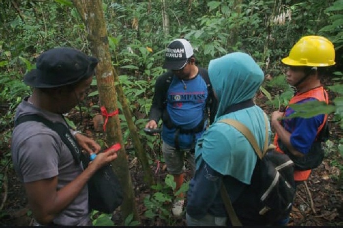 PERAN VITAL: Kawasan Hutan Berubayan terletak yang cukup penting bagi masyarakat dan satwa liar.