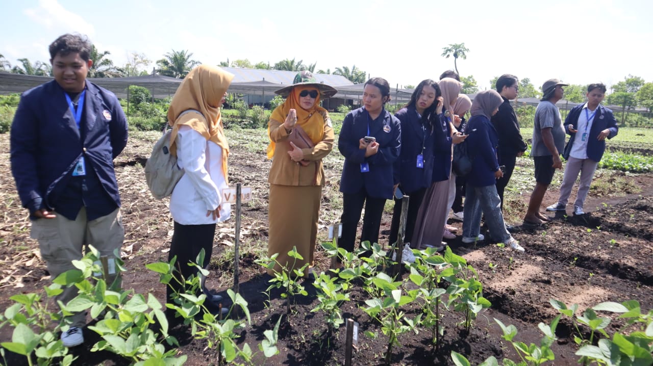 GAMBUT : Kegiatan praktek lapang di demplot lahan gambut Desa Sungai Selamat yang dilakukan oleh para mahasiswa Fakultas Pertanian Universitas Tanjungpura.
