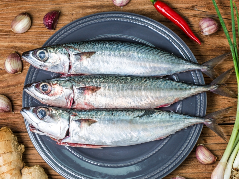 Ilustrasi ikan lokal salah satunya ikan kembung kaya protein. (FREEPIK)