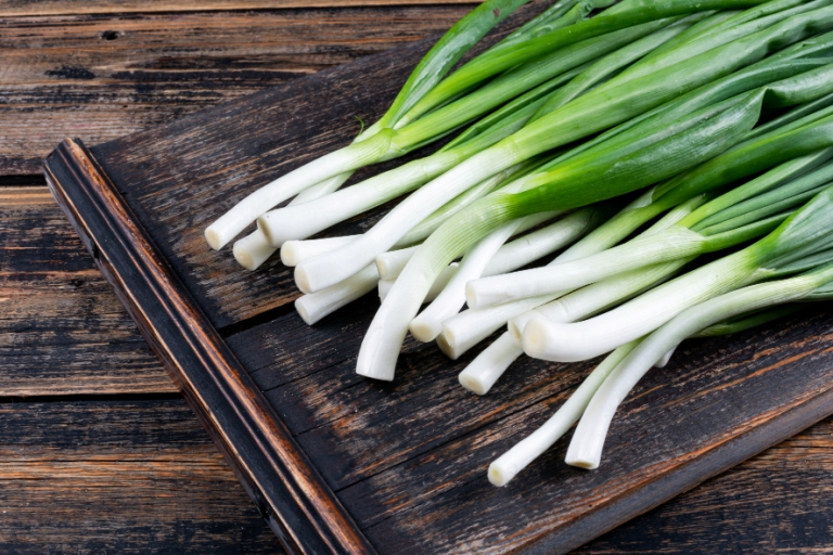 Ilustrasi daun bawang. (FREEPIK)