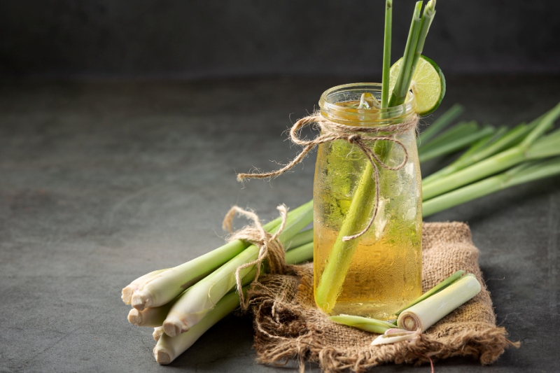 Ilustrasi minuman serai. (FREEPIK)