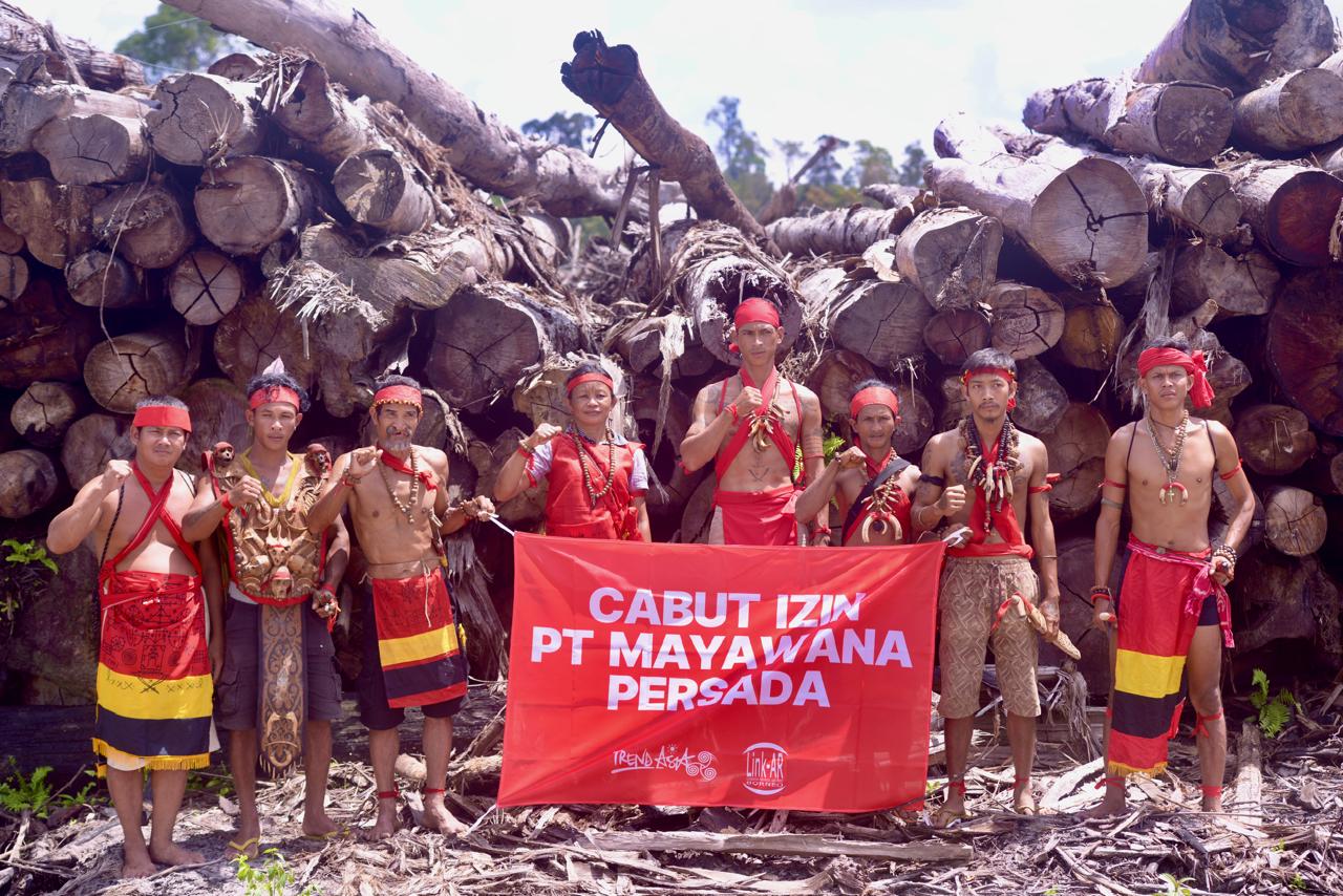 Masyarakat adat Desa Kualan Hilir membentangkan spanduk bertuliskan &ldquo;Cabut Izin PT. Mayawana Persada&rdquo; dengan lantar tumpukan kayu hasil pembabatan hutan alam oleh PT. Mayawana Persada.