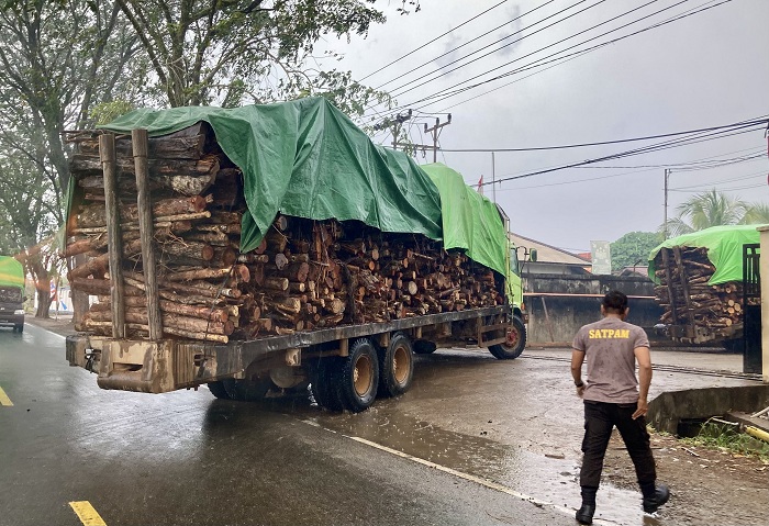 BAHAN BAKAR: Truk Fuso mengangkut kayu untuk bahan bakar Pembangkit Listrik Tenaga Biomassa (PLTBm) milik PT. Rezeki Perkasa Sejahtera Lestari (RPSL) di Desa Wajok Hulu,