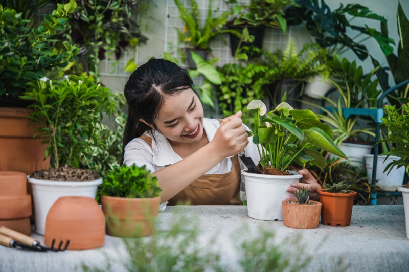 Ilustrasi berkebun di rumah.