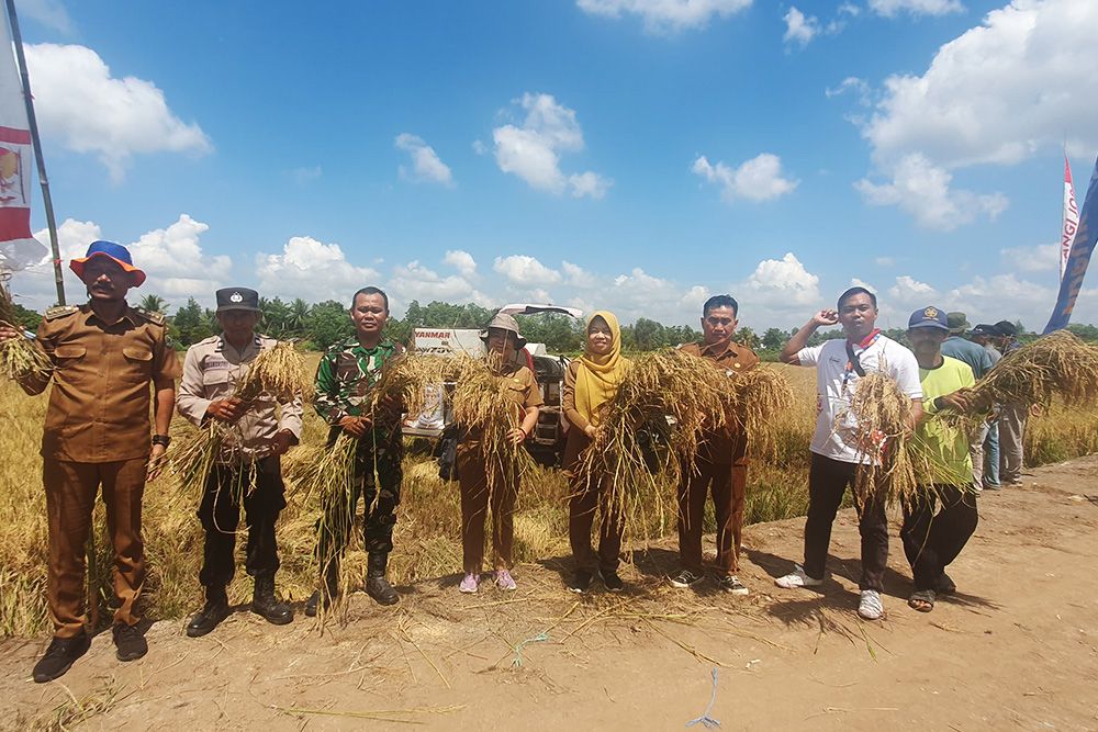 Pupuk Kaltim saat melakukan panen raya padi Desa Sidomulyo, Kecamatan Tamban Catur Kabupaten Kapuas Kalimantan Tengah.