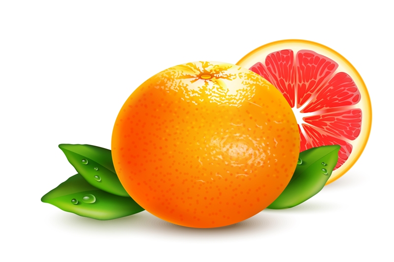 Ilustrasi buah jeruk.
