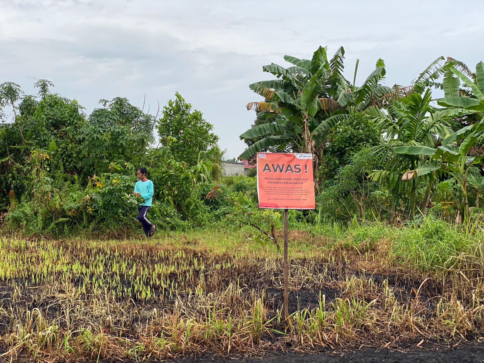 PERINGATAN : Terdapat tanda peringatan larangan untuk membakar lahan gambut di Kampung Gambut Siantan Hilir, Kota Pontianak.