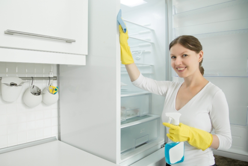 Ilustrasi membersihkan kulkas.