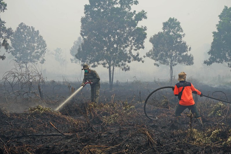 KEBAKARAN LAHAN: Sejumlah petugas memadamkan kebakaran lahan di Desa Punggur Kecil, Kabupaten Kubu Raya, Selasa(29/10). Kebakaran di kawasan tersebut sudah terjadi selama tiga hari lalu mulai berkobar