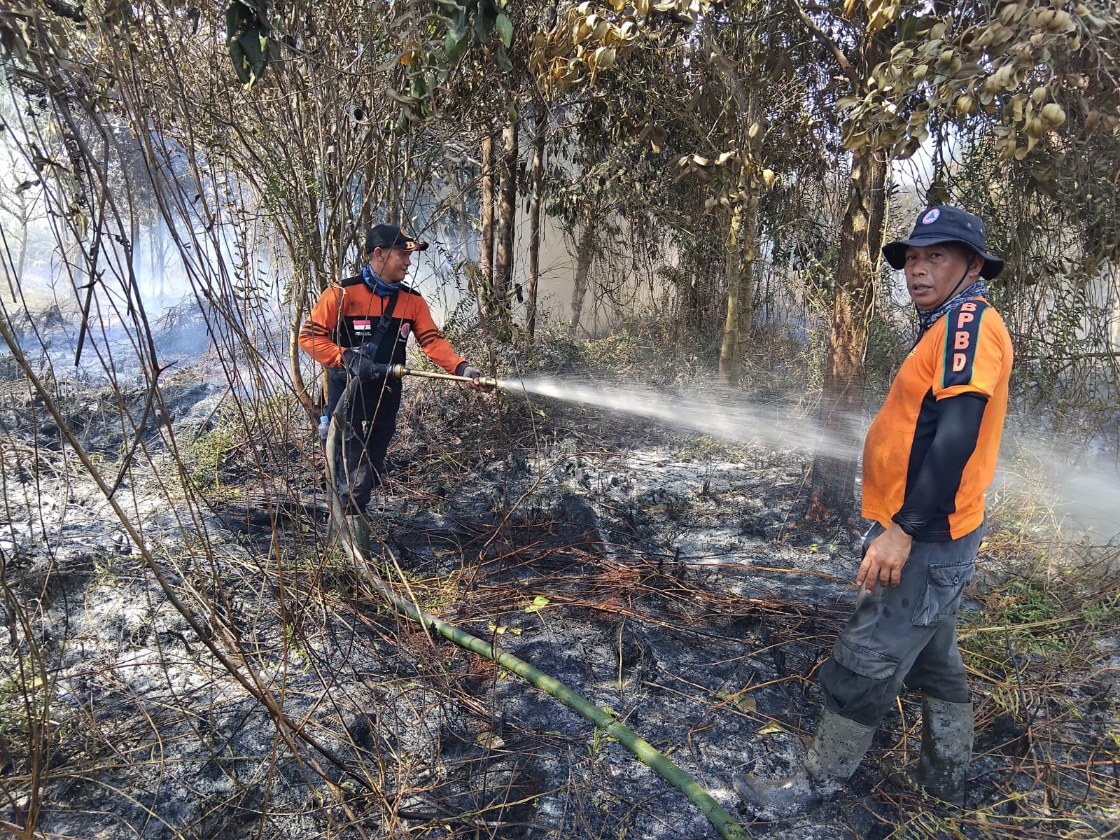 KARHUTLA : Petugas sedang memadamkan Karhutla di Dusun Moton.