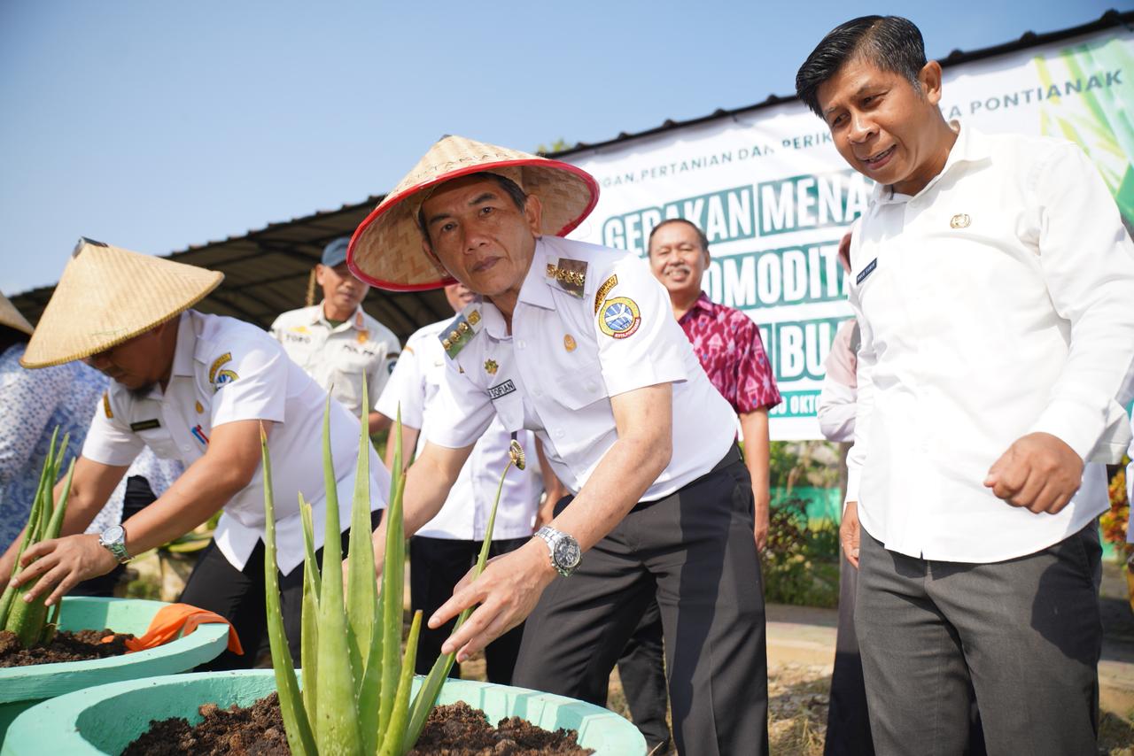 LIDAH BUAYA: Penjabat Wali Kota Pontianak Ani Sofian menanam lidah buaya sebagai simbolis pencanangan gerakan menanam komoditas lidah buaya.