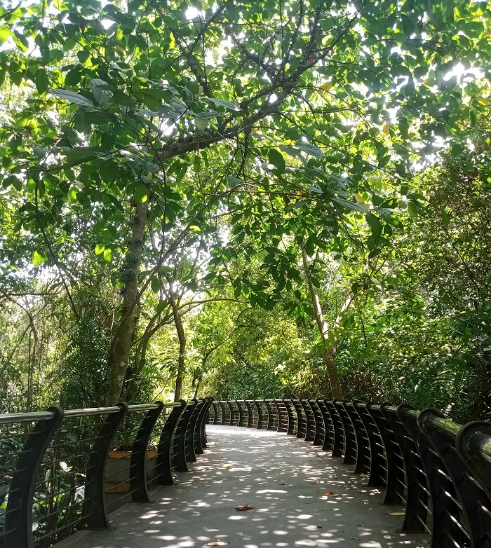 SEJUK: Hutan Arboretum Sylva atau dikenal dengan sebutan hutan Pontianak menjadi paru-paru kota yang memberikan kesejukan dan keindahan bagi warga.