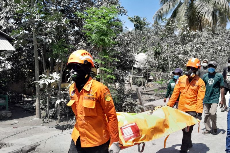 EVAKUASI: Tim SAR gabungan mengevakuasi seorang korban letusan Gunung Lewotobi Laki-laki di Kecamatan Wulanggitang, Kabupaten Flores Timur, Nusa Tenggara Timur (NTT).