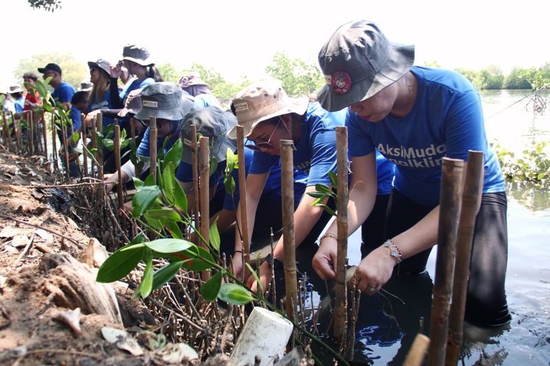 Para anak muda dan sejumlah perwakilan J Trust Bank melakukan penanaman mangrove di Tanjung Pasir Mangrove Center, Kabupaten Tangerang.