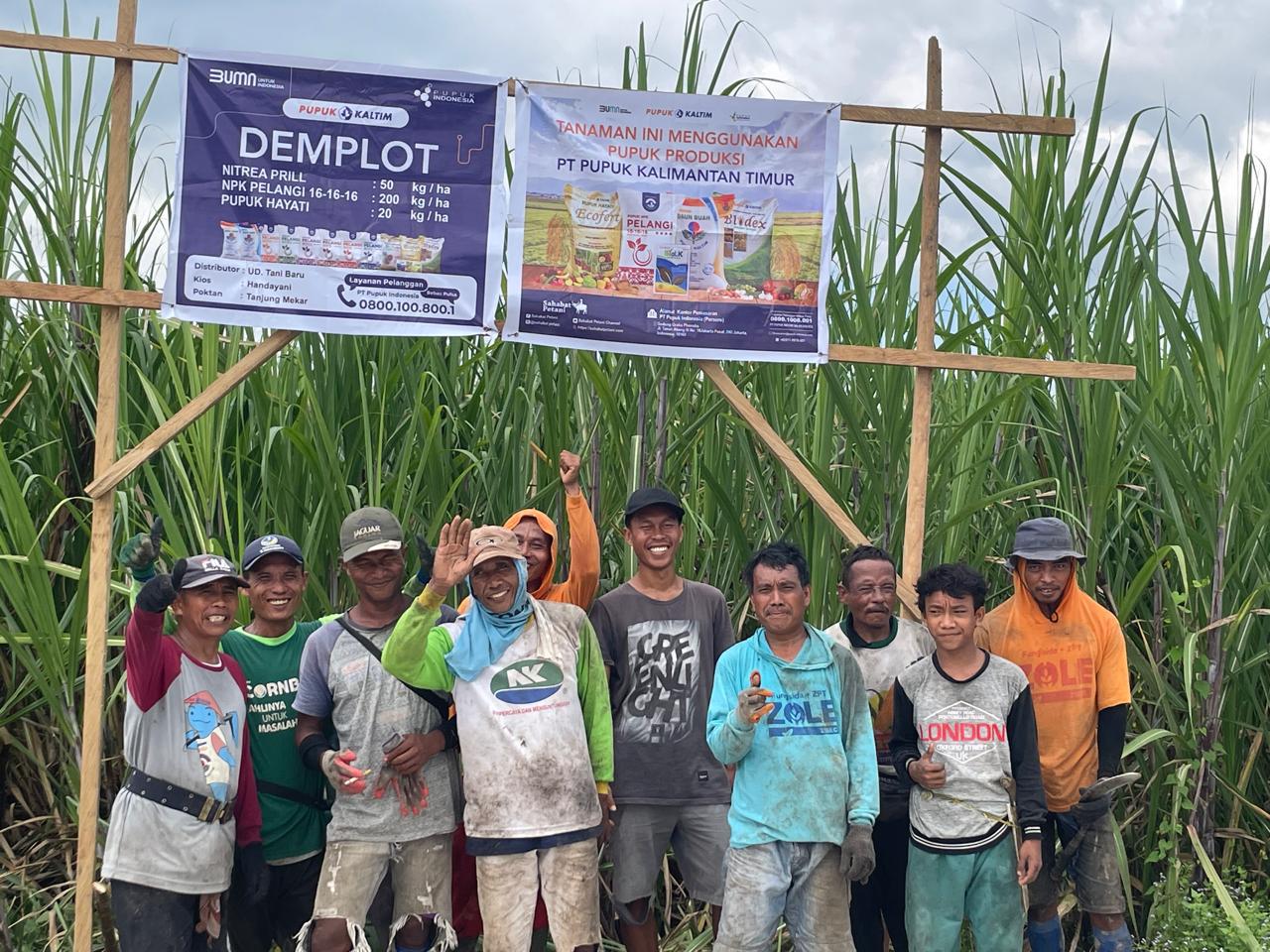 PETANI: Para petani tebu di Gorontalo.