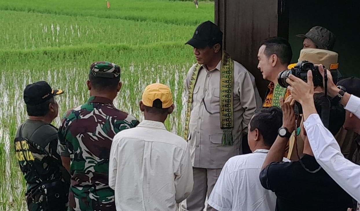 TINJAU: Menteri Pertanian Amran Sulaiman bersama dengan Anggota DPR RI Daniel Johan memantau luasan sawah yang masuk dalam program optimalisasi lahan pertanian di Desa Singaraya, Kecamatan Semparuk.