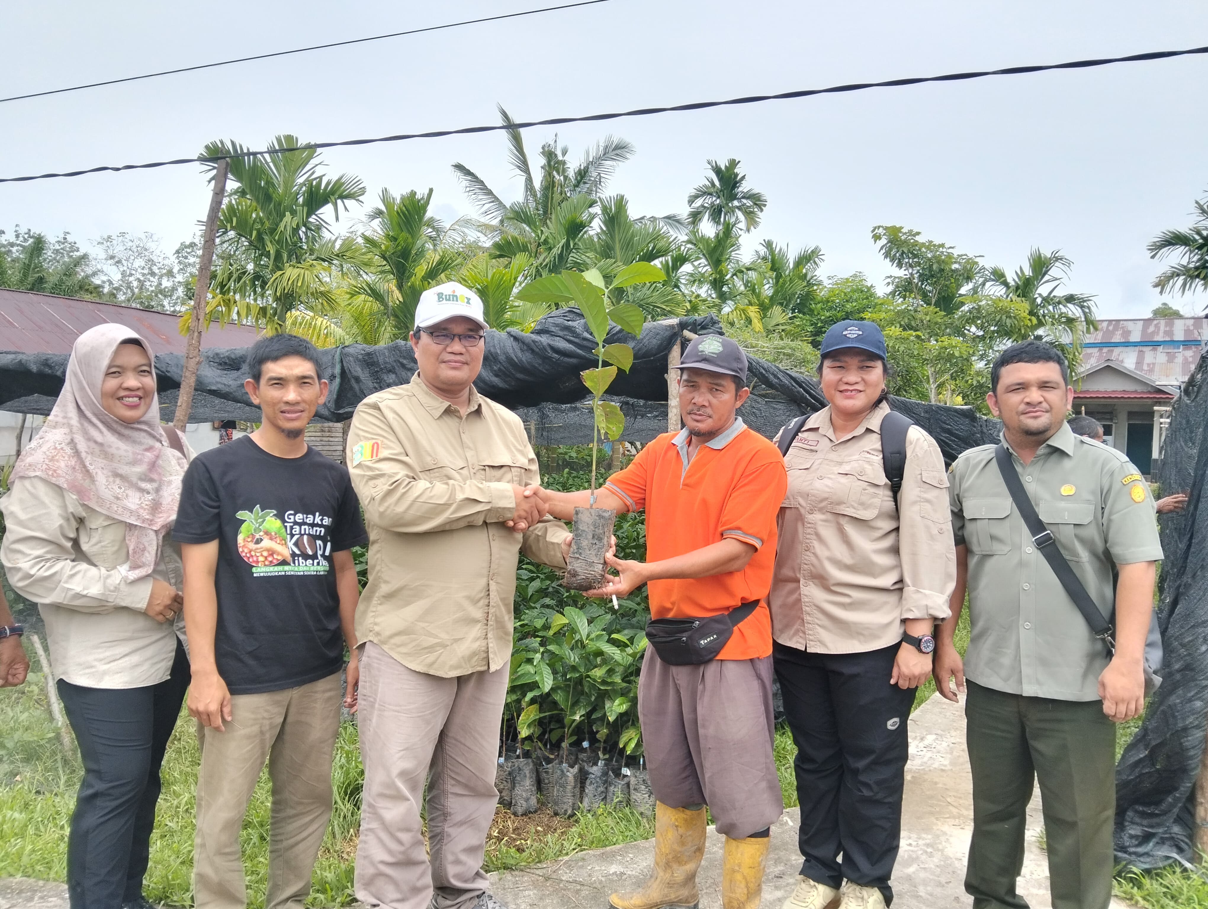 "BPTP Pontianak menyerahkan 100 ribu bibit kopi liberika bersertifikasi kepada petani di Desa Sendoyan, Kabupaten Sambas, untuk mendukung pengembangan sentra kopi dan kesejahteraan petani lokal.