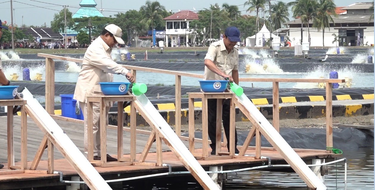 Presiden RI Prabowo Subianto saat meninjau tambak budidaya ikan nila salin di BLUPPB, Karawang, Jawa Barat, Senin (2/12).