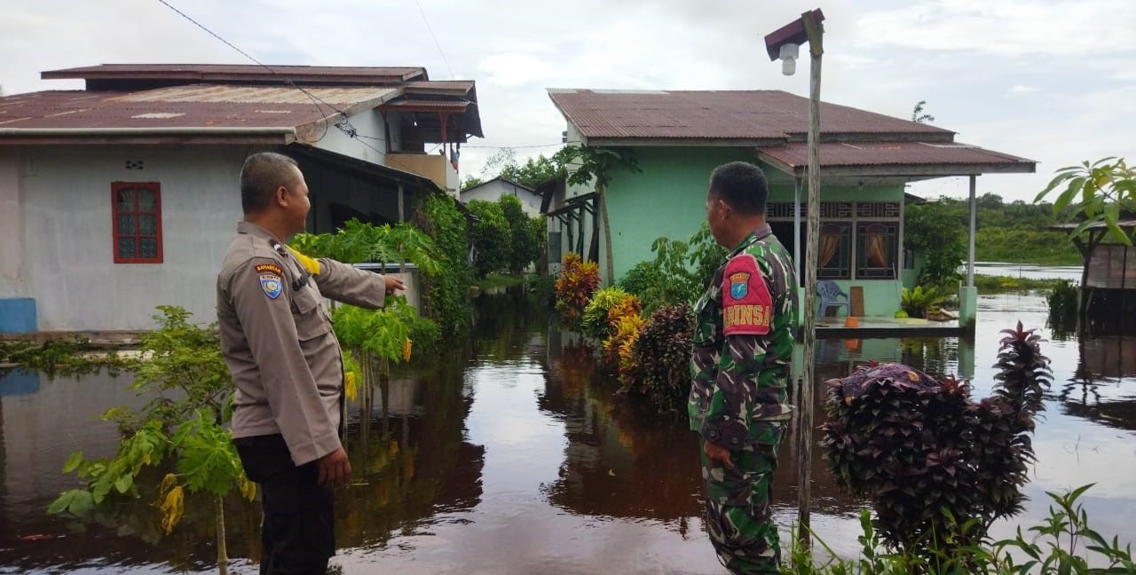 MEMANTAU: Petugas saat memantau kondisi banjir di Desa Sejegi.