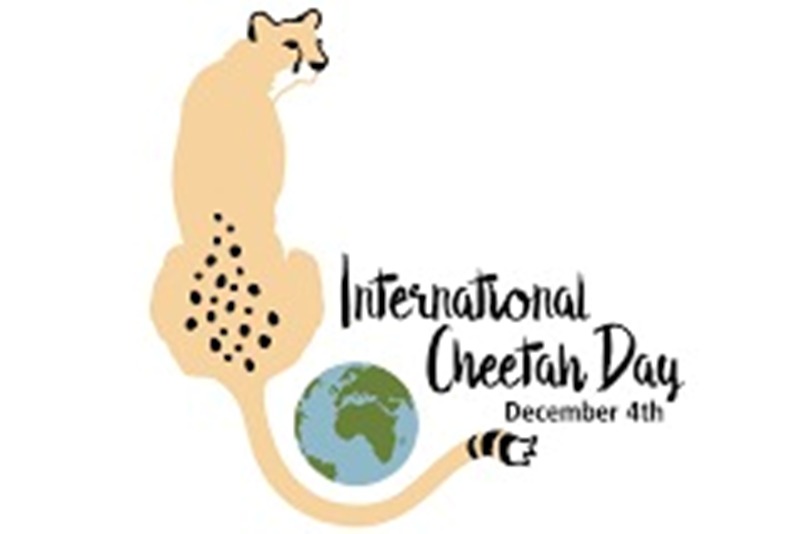 Peringatan hari citah Internasional.