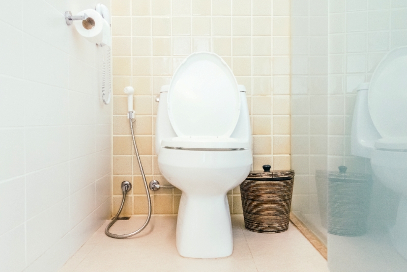 Ilustrasi toilet.