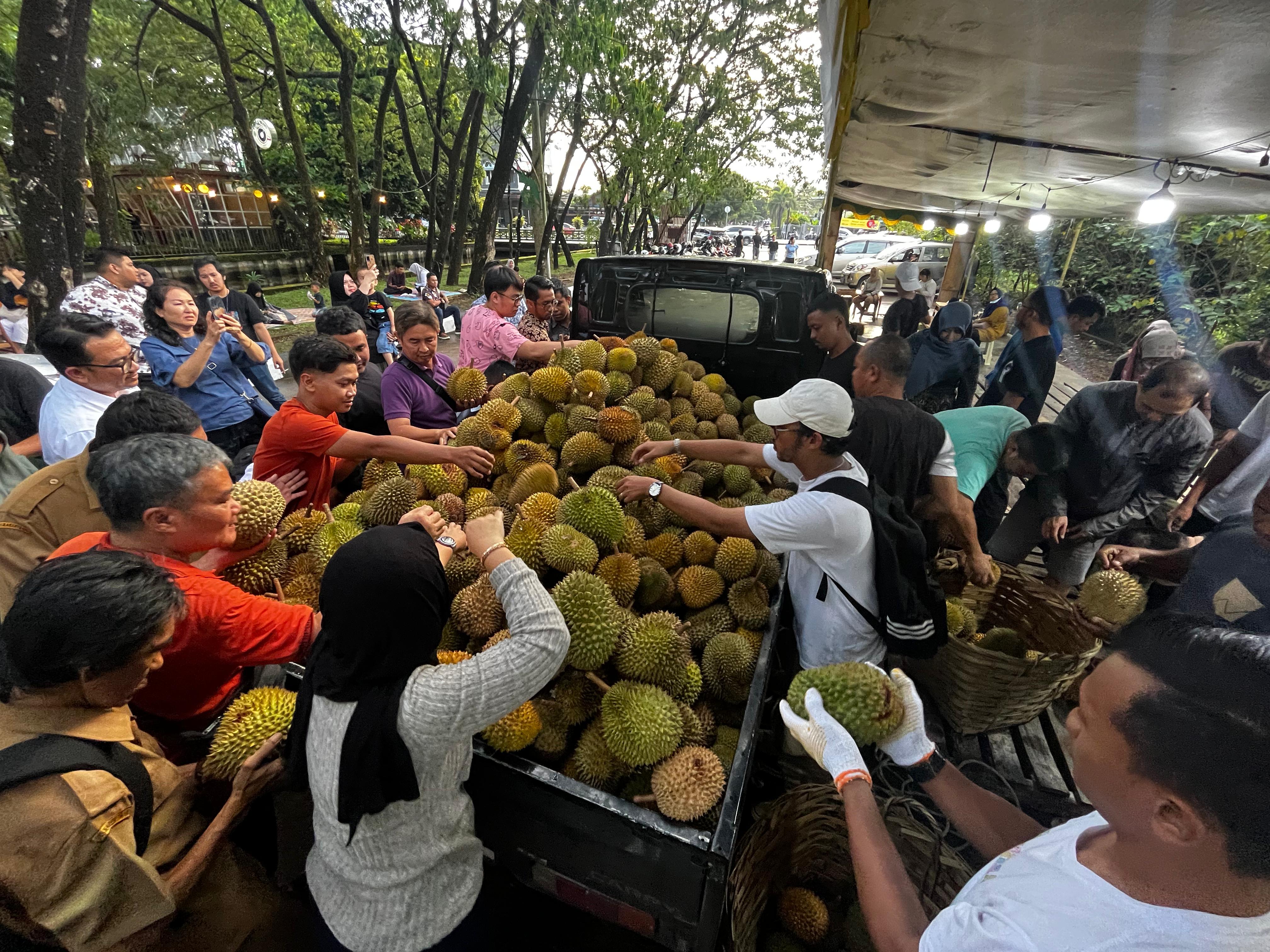 Warga memperebutkan Durian Jemongko, Selasa (10/12) kemarin.
