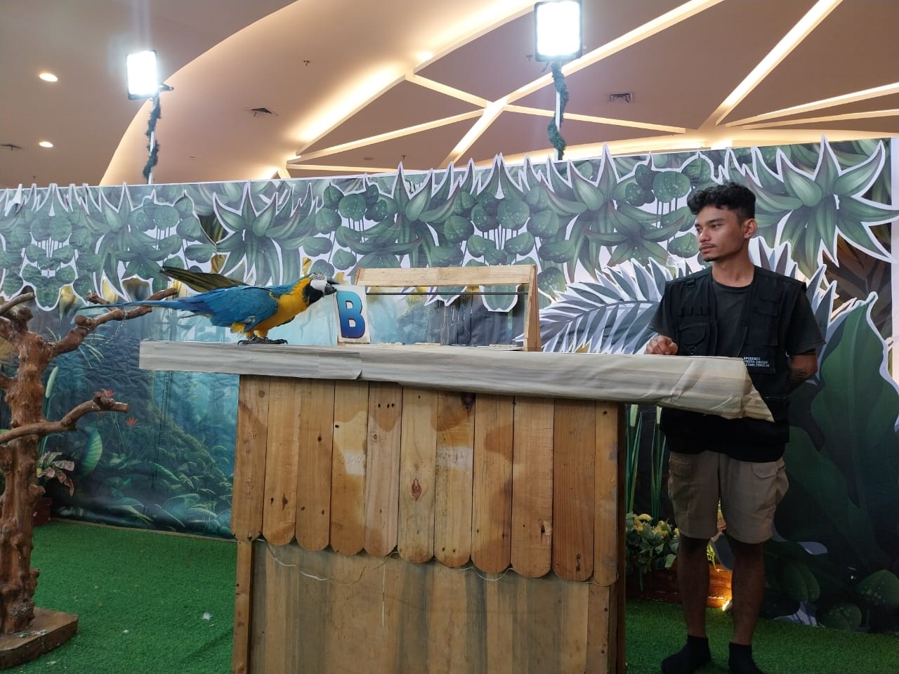ATRAKSI : Salah satu satwa yang beratraksi di Jungle Zoo, Gaia Bumi Raya City.