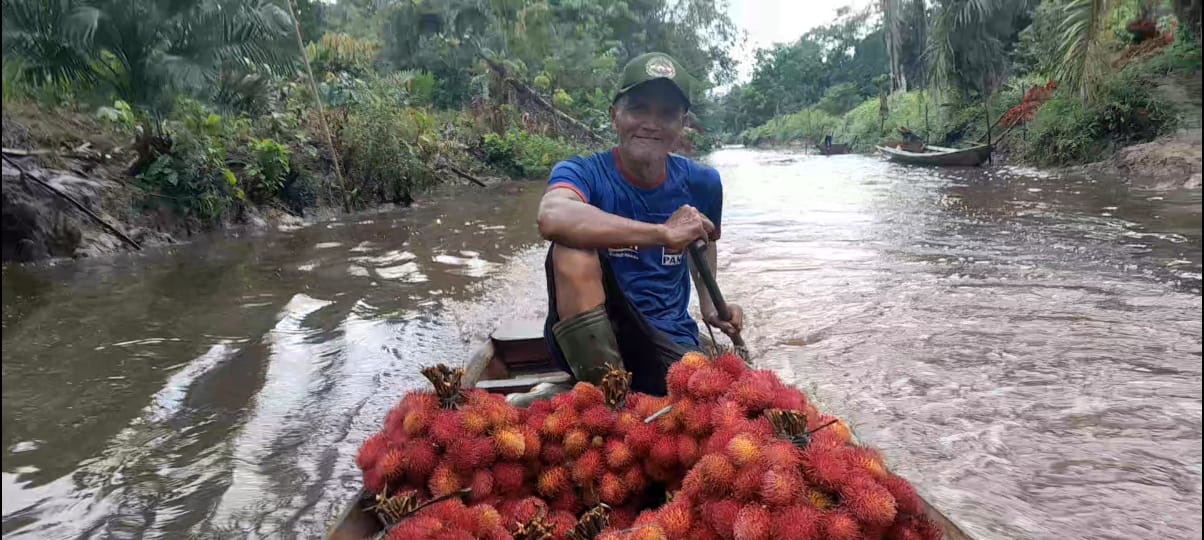 PANEN: Seorang petani rambutan saat mengangkut hasil panennya dengan menggunakan perahu di Kecamatan Sajad, Kabupaten Sambas.