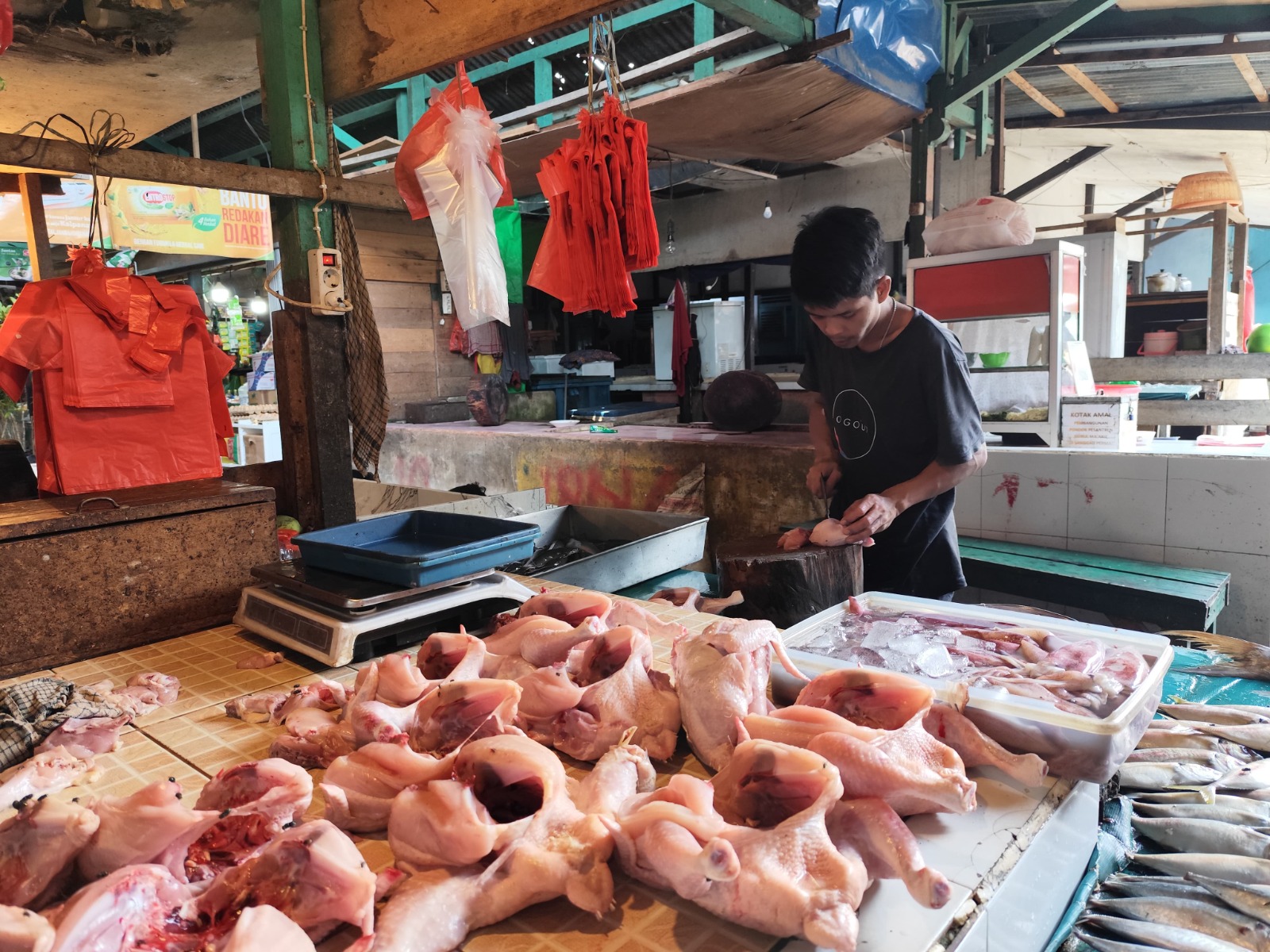 Di awal tahun harga ayam potong menembus kisaran Rp50 ribu perkilogram.
