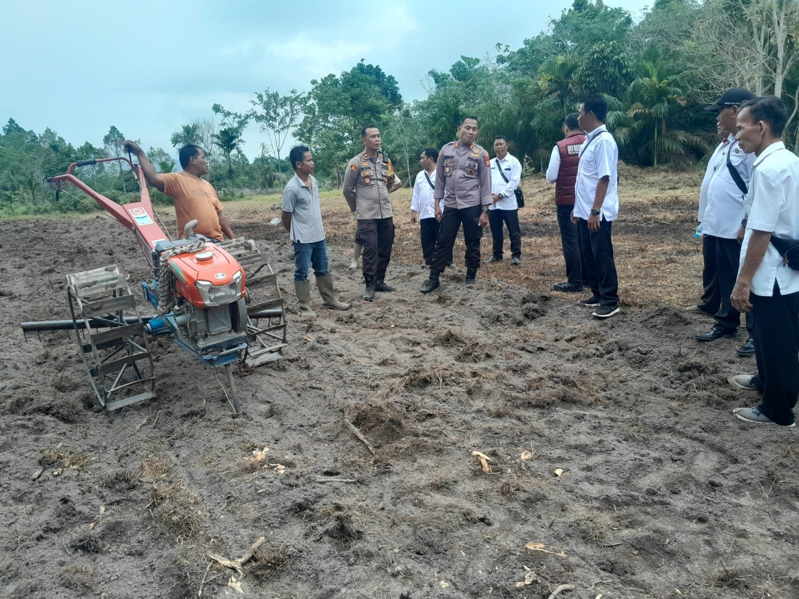 TINJAU: Tim Asistensi Gugus Tugas Ketahanan Pangan mengunjungi pekarangan kebun sayur di Kecamatan Mandor.