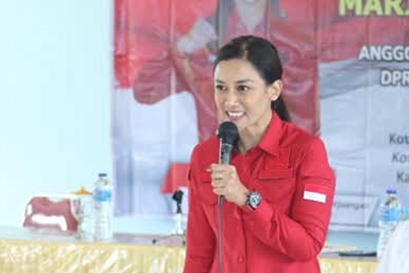 Anggota DPR RI Maria Lestari.