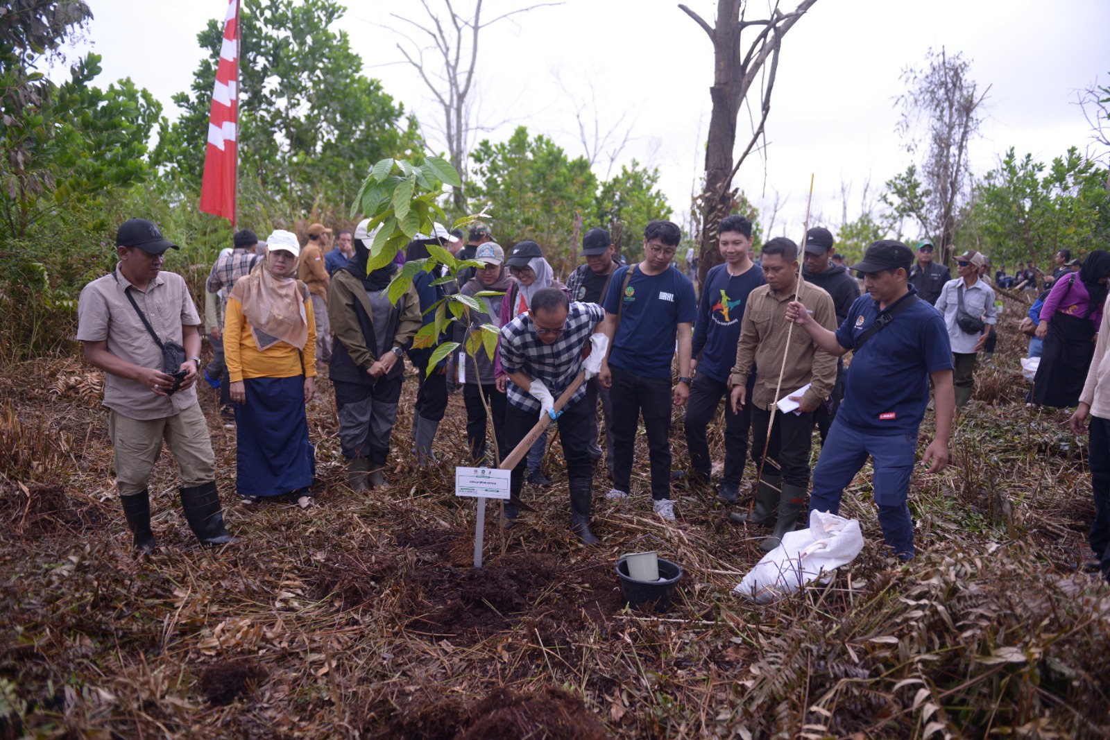 Ratusan warga terlibat dalam aksi penanaman serentak yang dilaksanakan di Desa Kuala, Kecamatan Rasau Jaya, Kab. Kubu Raya. Aksi penanaman serentak ini, bagian dari upaya rehabilitasi hutan dan lahan.