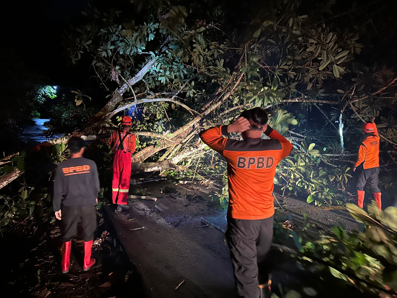 PEMBERSIHAN : Tim TRC BPBD Sanggau melakukan pembersihan batang pohon tumbang yang menutupi badan jalan.