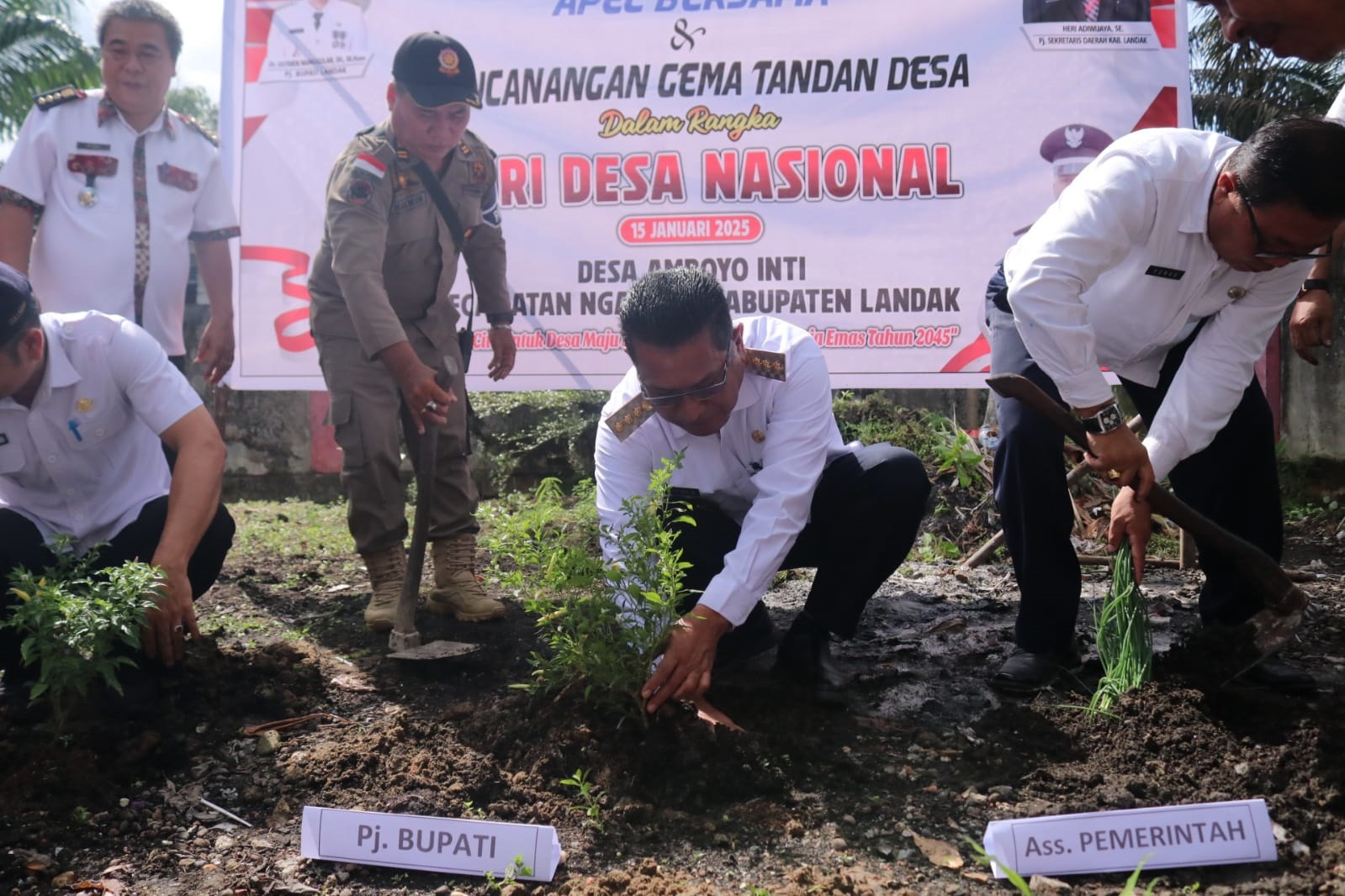 TANAM POHON: Pj Bupati Landak Gutmen Nainggolan saat menanam pohon dalam Peringatan Hari Desa Nasional, di Kantor Desa Amboyo Inti, Ngabang.