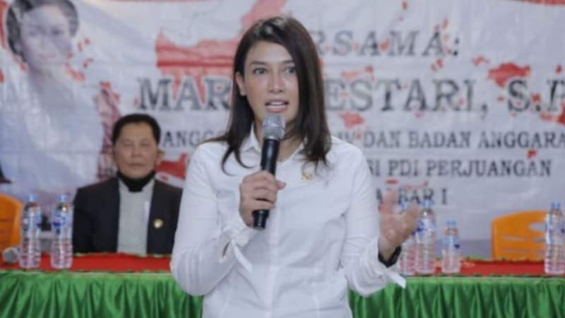 Anggota DPR RI Maria Lestari.