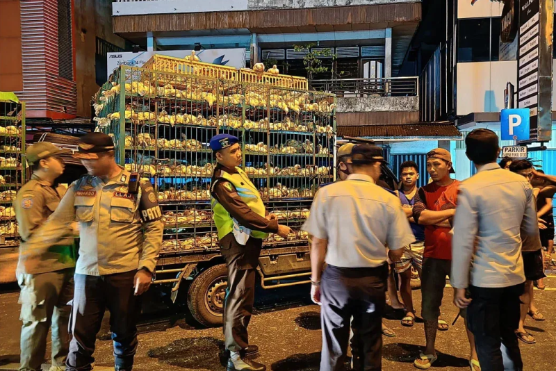 Petugas gabungan merazia mobil pengangkut ayam yang melakukan bongkar muat di Jalan Gajah Mada Pontianak.