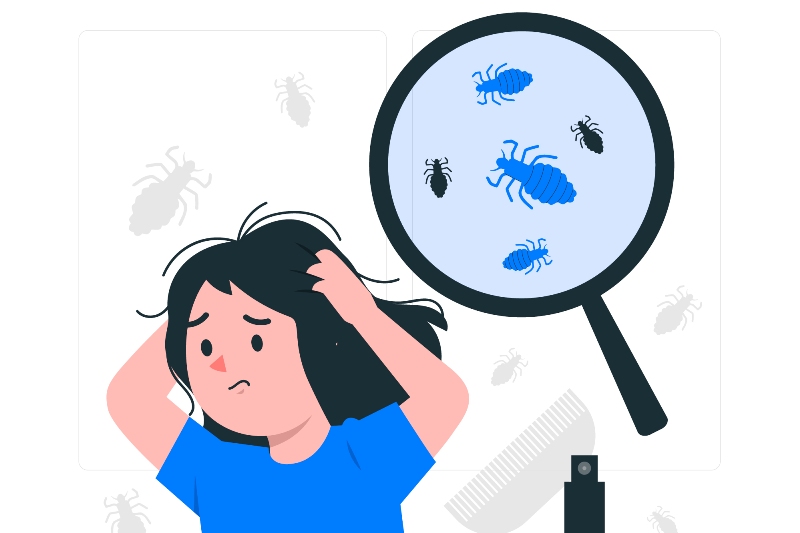 Ilustrasi kutu di rambut anak.