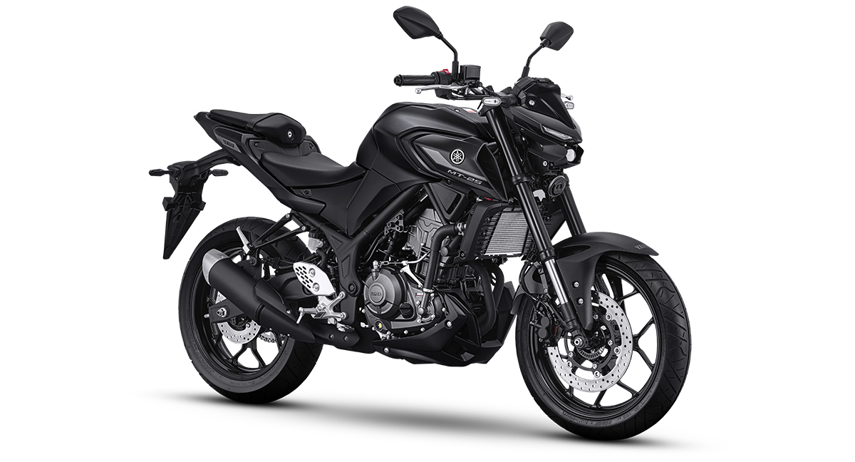 New Yamaha MT-25.